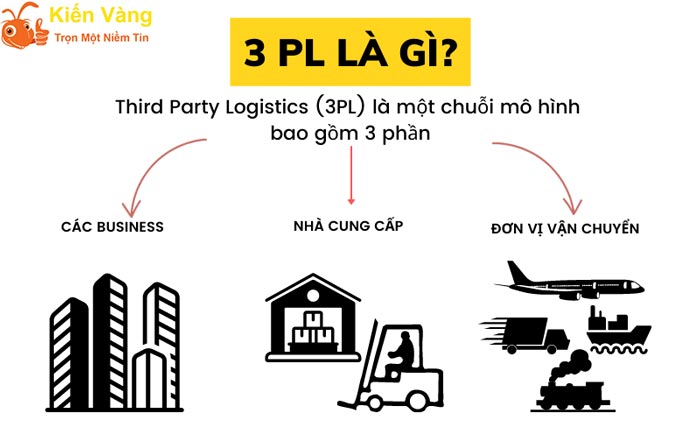 3PL nghĩa là gì ?
