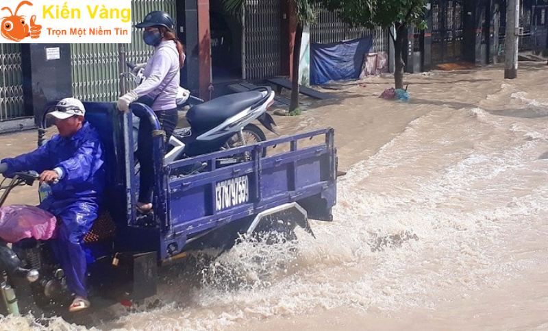 Những điều cần làm khi bạn chuyển nhà mà trời đổ mưa