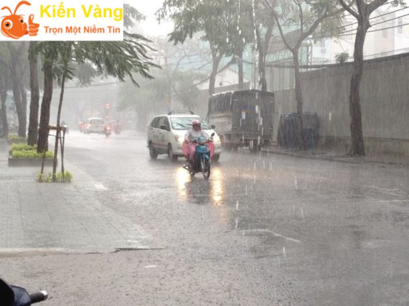 Tìm hiểu về chuyện chuyển nhà thì gặp trời mưa