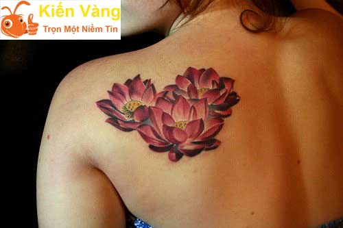 HÌnh xăm bông sen sau lưng