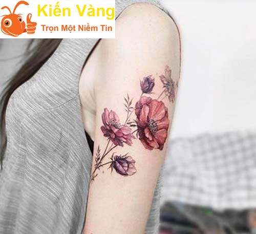 Hoa hồng đỏ cạnh bắp tay