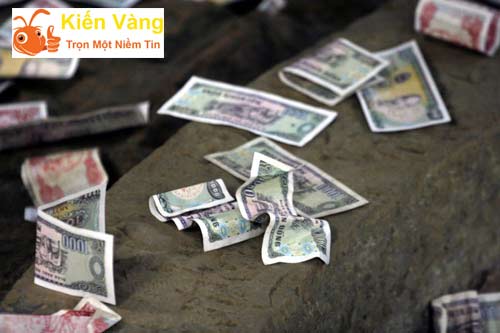 Không nên nhặt của rơi