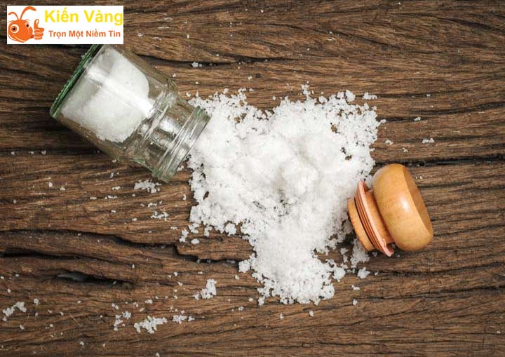 Mệnh Mộc nên mang theo muối