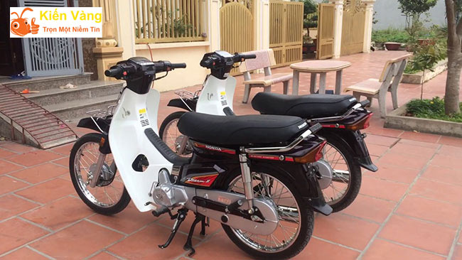 Phân biệt xe Liên doanh với xe chính hãng