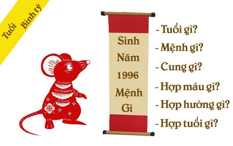 Sinh năm 1996 thuộc mệnh gì