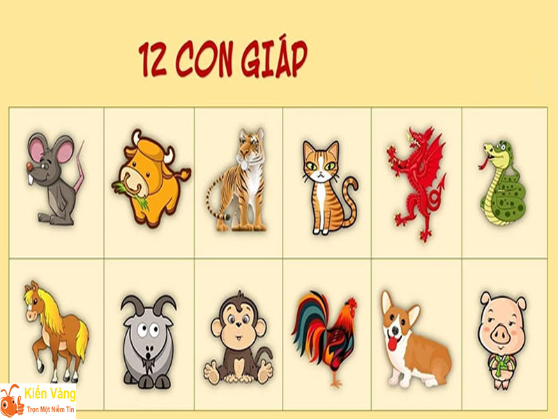 Ý nghĩa việc sắp xếp 12 con giáp theo thứ tự từng cặp