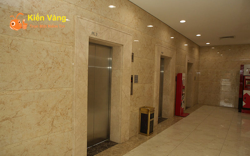 Thang máy ở các khu đô thị hầu hết là sẽ đông và chật cứng vào giờ cao điểm